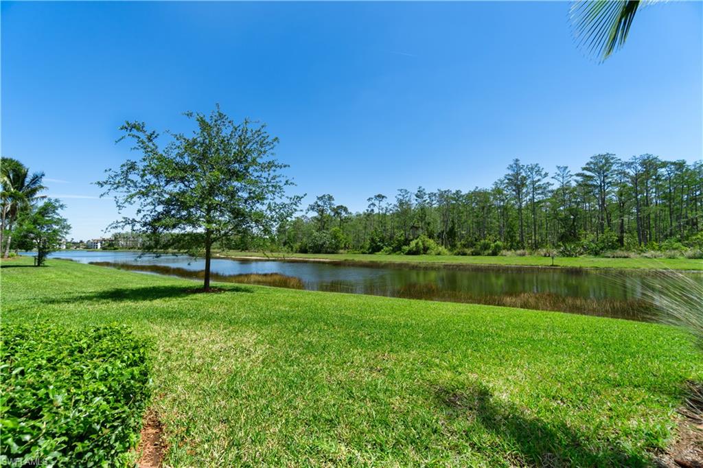 9596 Trevi CT 5412 photo 15