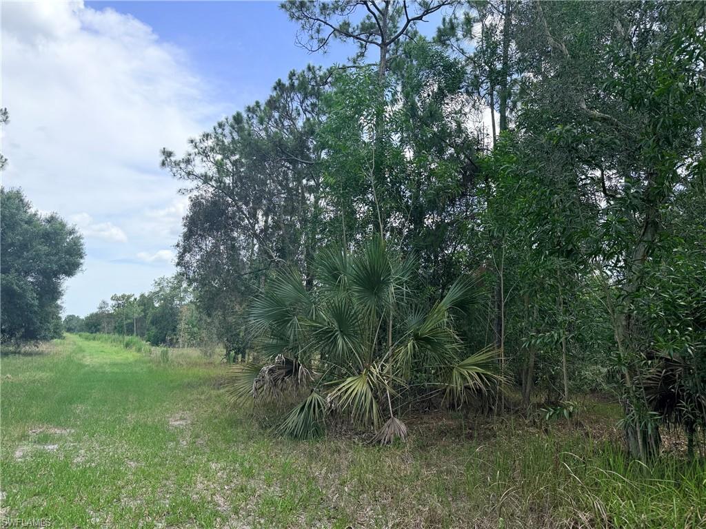 920 Sanctuary RD W photo 23