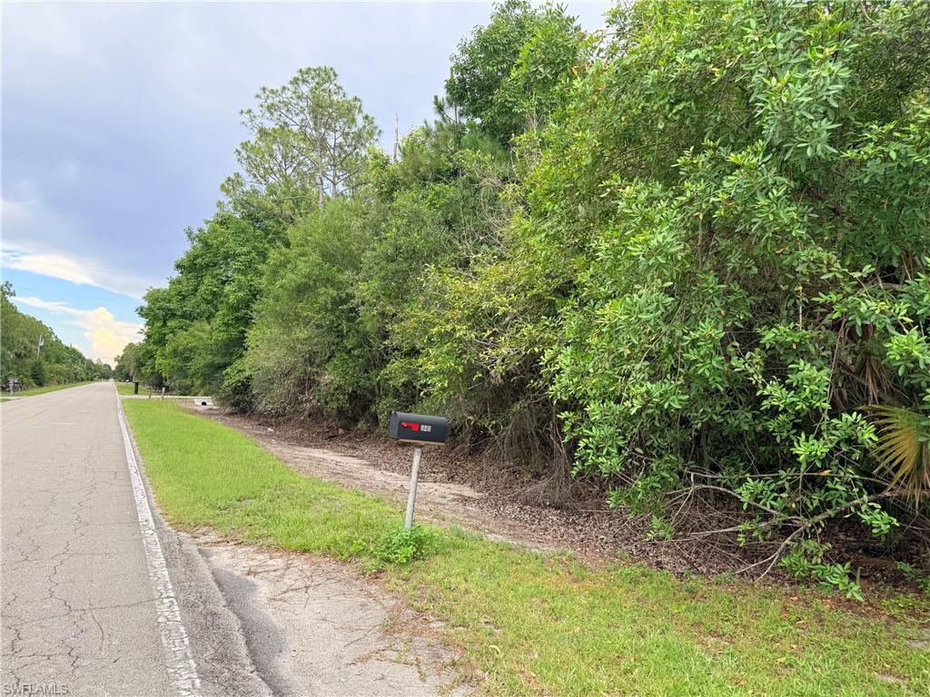 Sanctuary Road