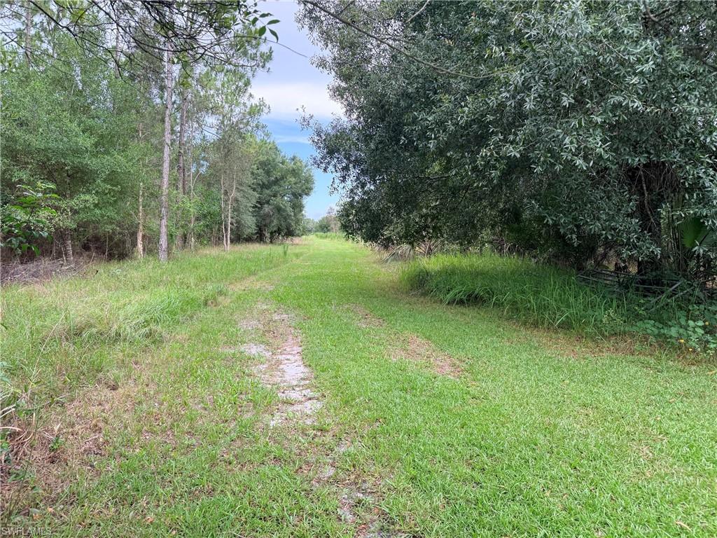 920 Sanctuary RD W photo 6