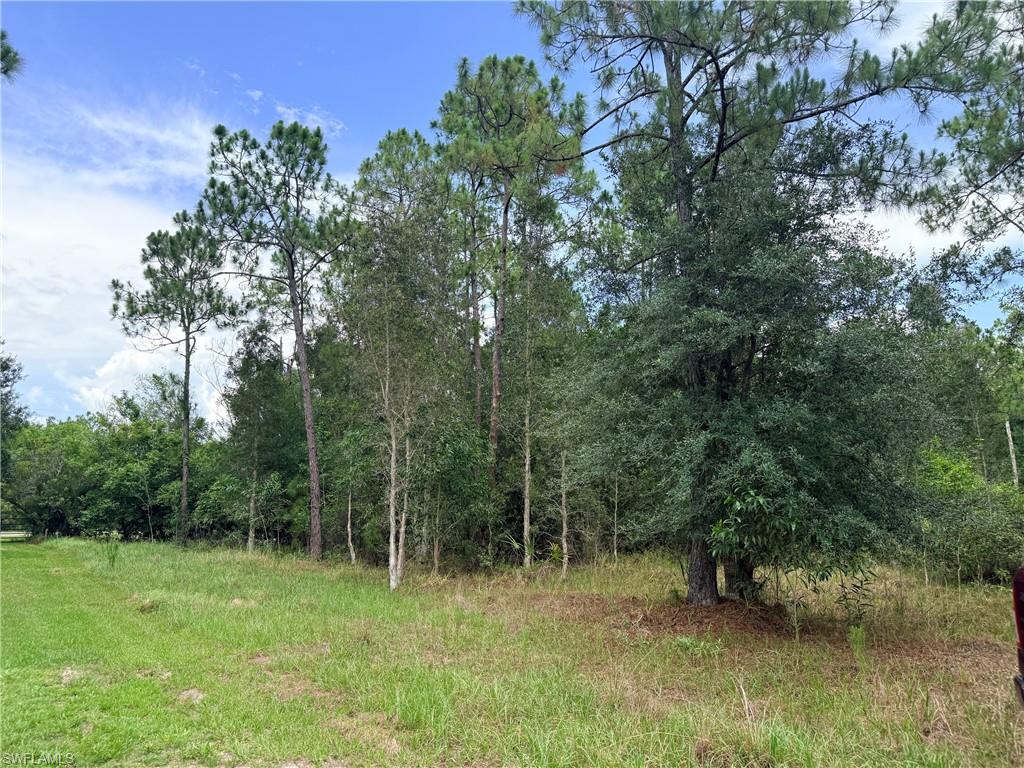920 Sanctuary RD W photo 17