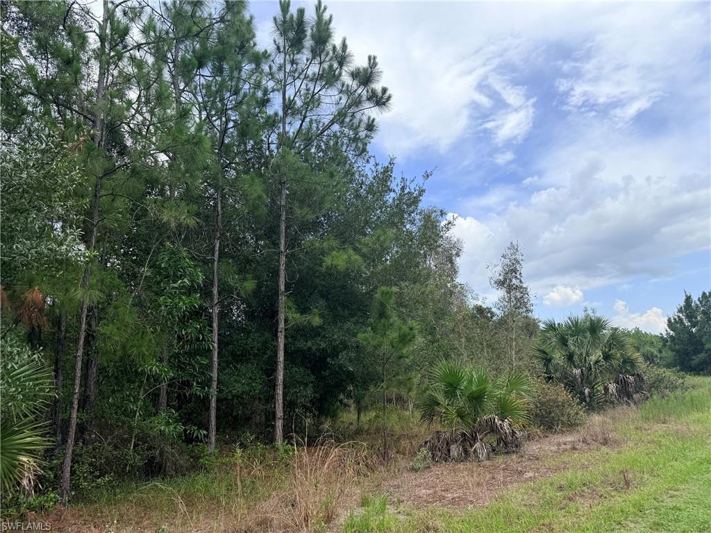 920 Sanctuary RD W photo 16