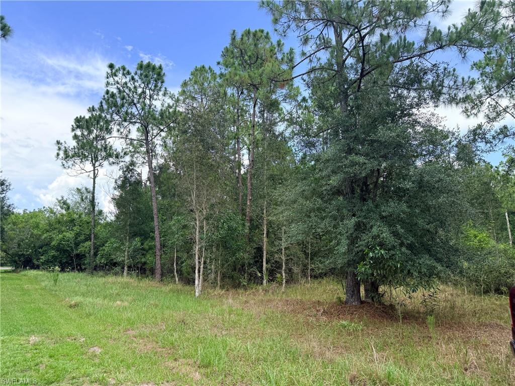 920 Sanctuary RD W photo 22