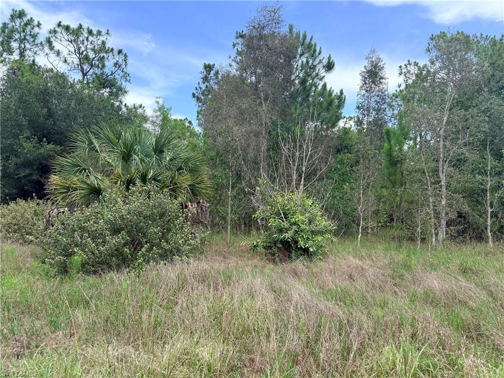 920 Sanctuary RD W photo 20