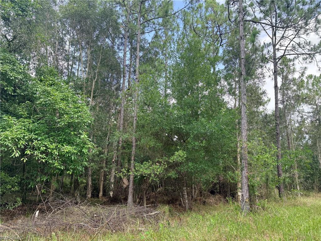 920 Sanctuary RD W photo 24