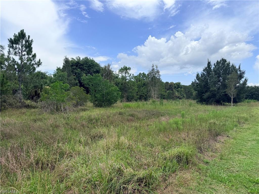 920 Sanctuary RD W photo 14