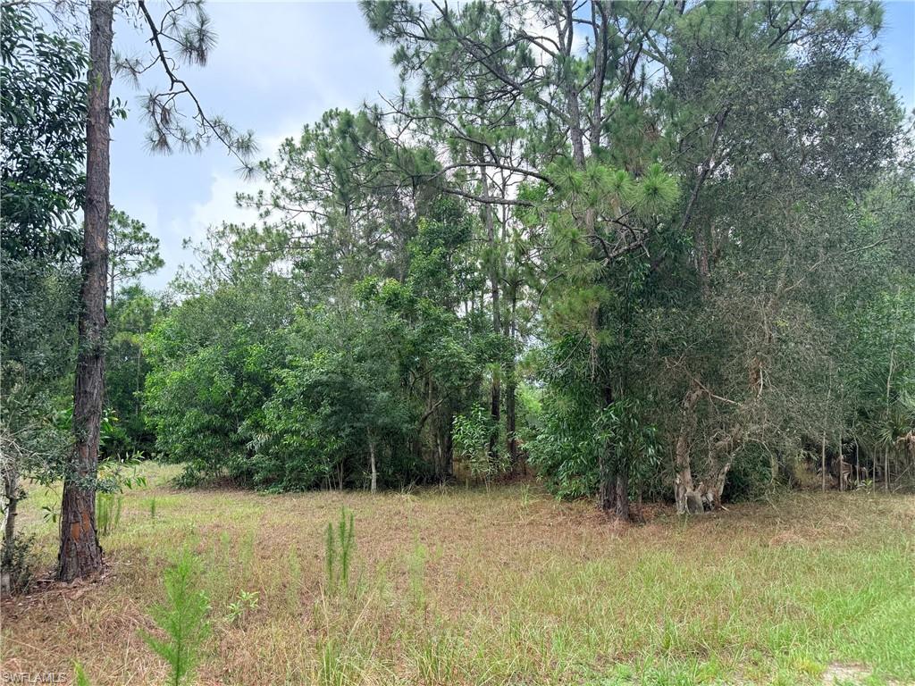 920 Sanctuary RD W photo 18