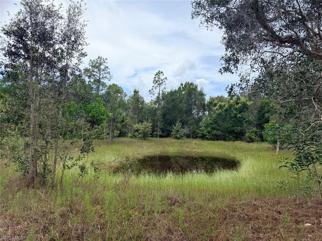 Pond