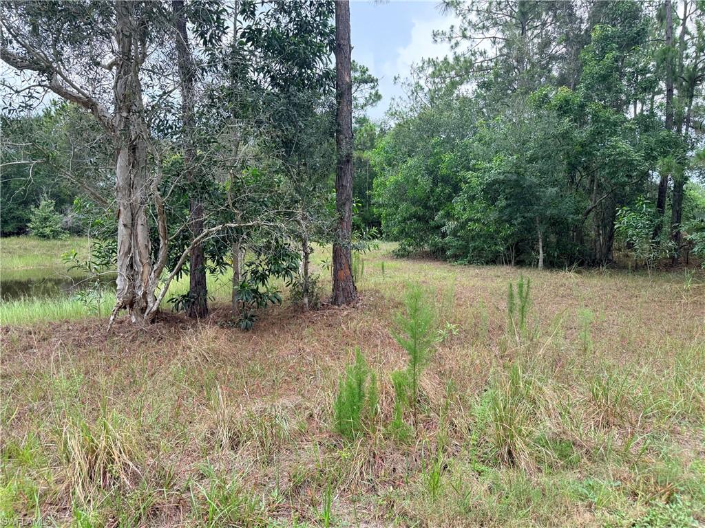 920 Sanctuary RD W photo 19