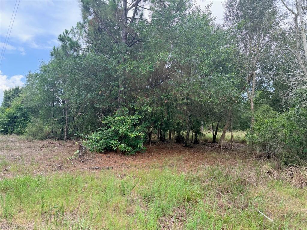 920 Sanctuary RD W photo 8