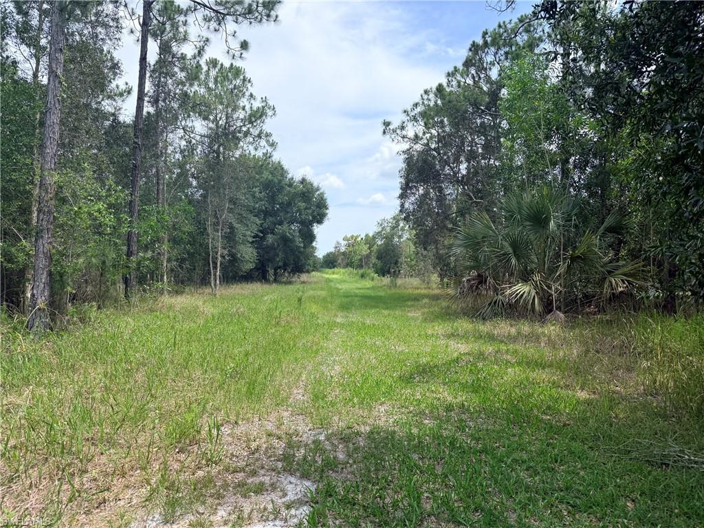 920 Sanctuary RD W photo 21
