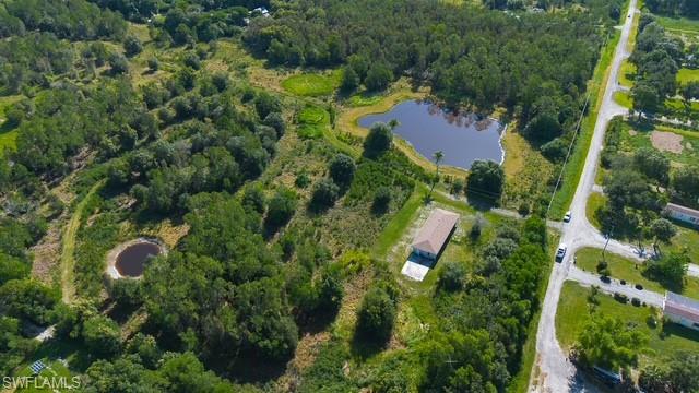 925 Purple Martin DR