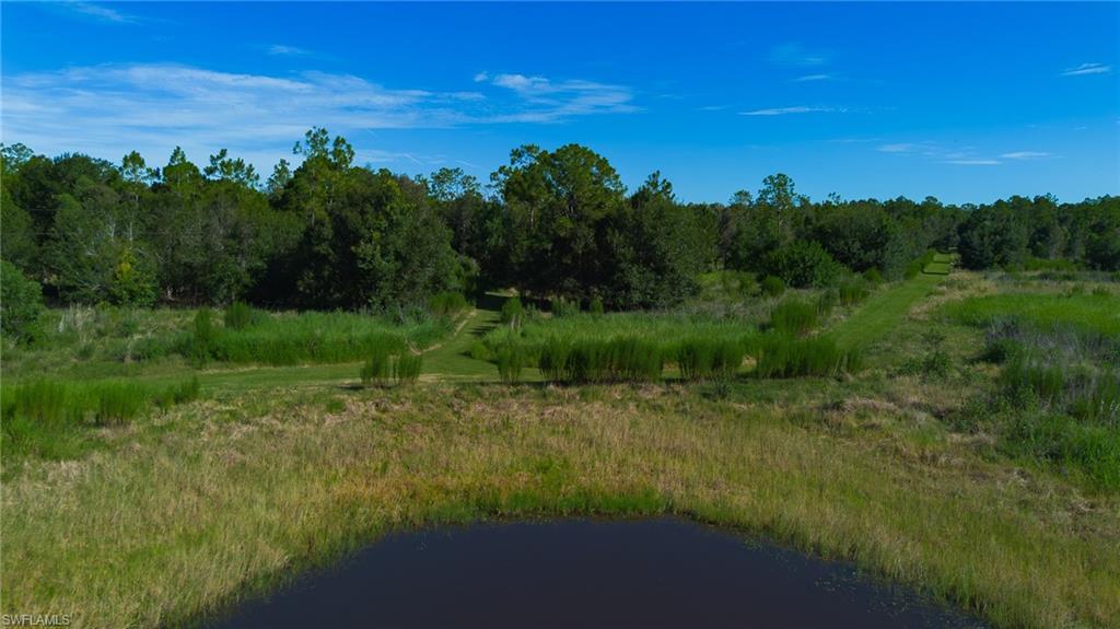 925 Purple Martin DR photo 42