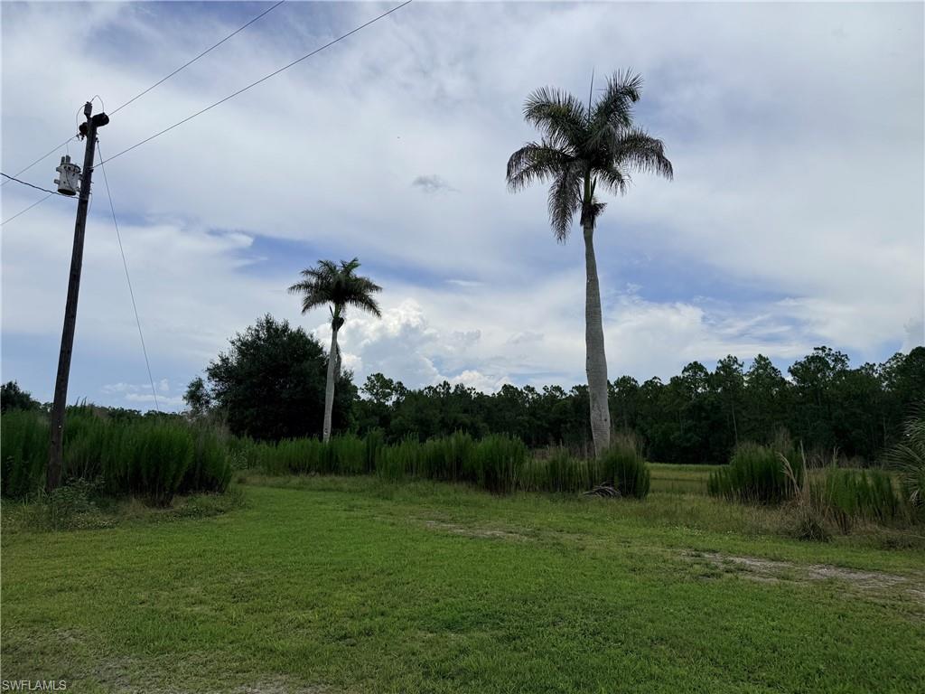 925 Purple Martin DR photo 43
