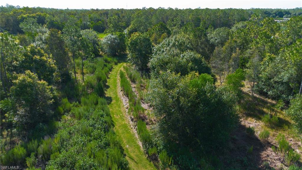 925 Purple Martin DR photo 12