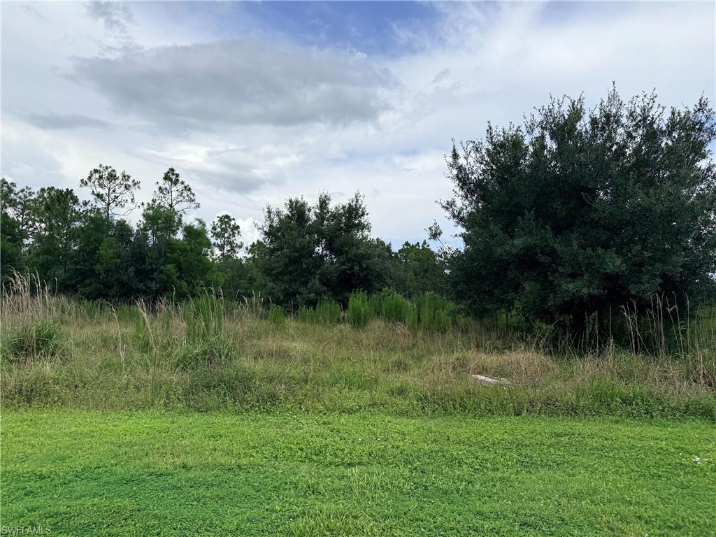925 Purple Martin DR photo 32