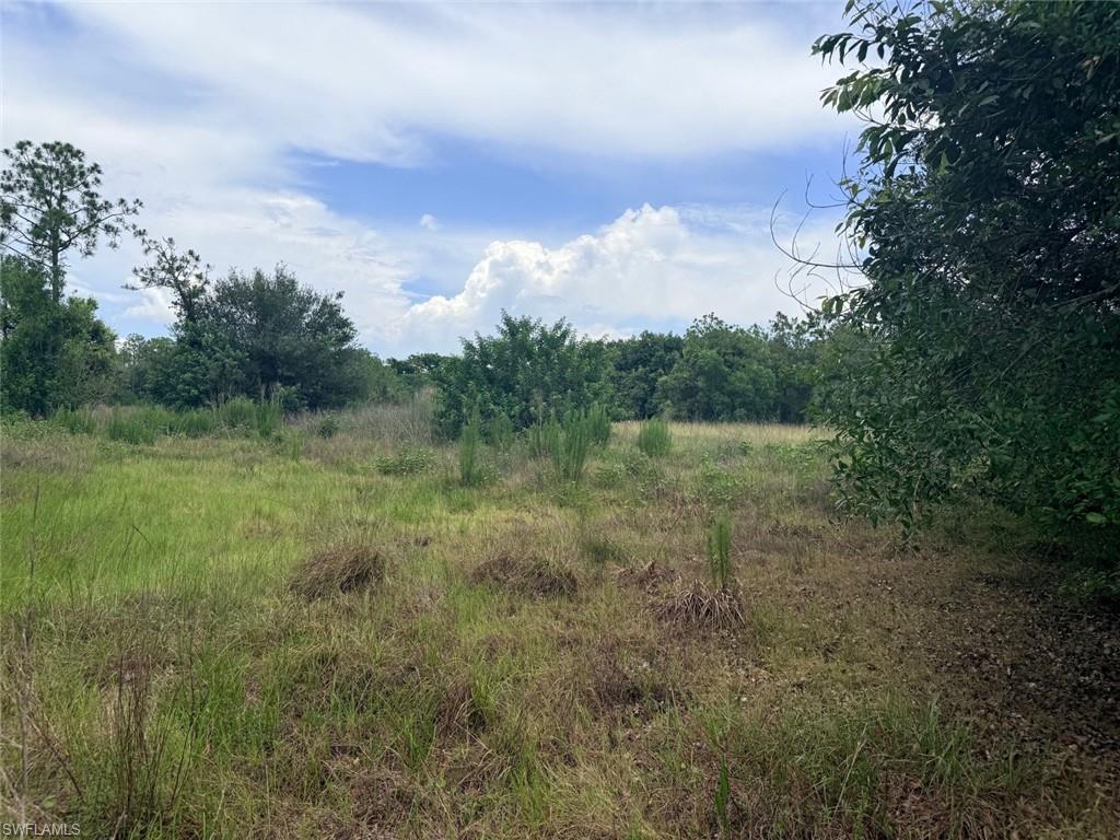 925 Purple Martin DR photo 34