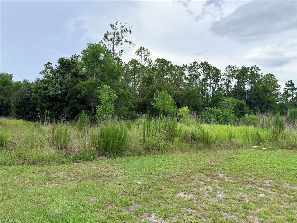 925 Purple Martin DR photo 33