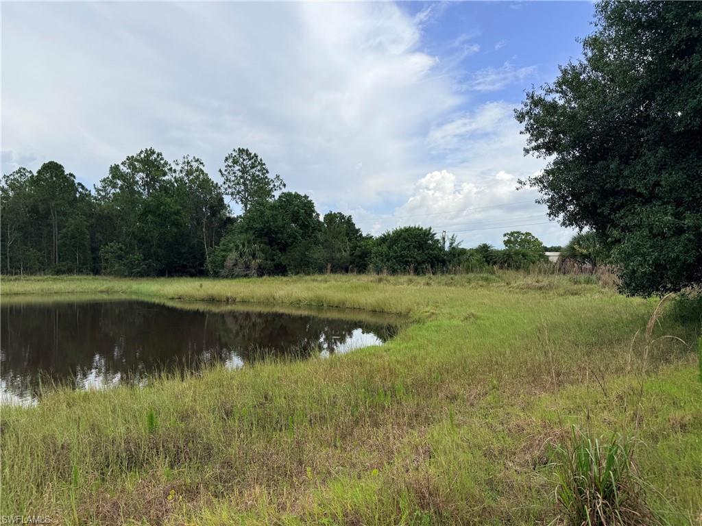 925 Purple Martin DR photo 40