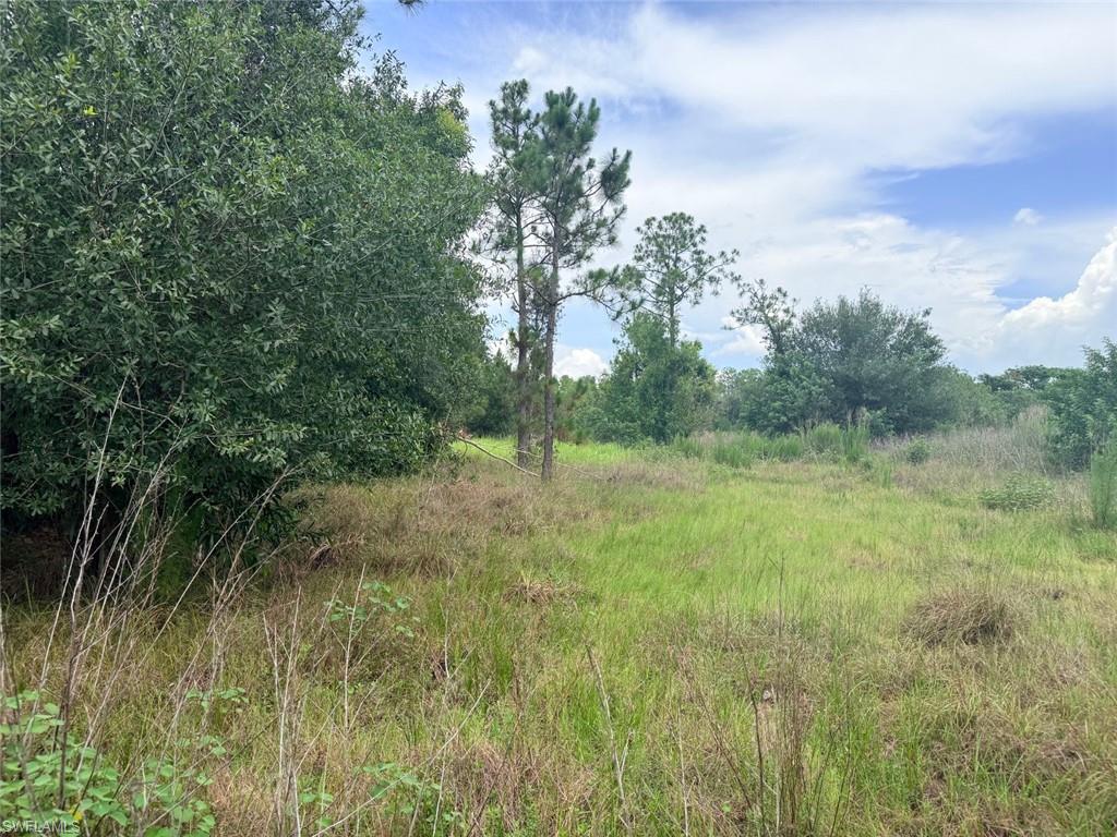 925 Purple Martin DR photo 35