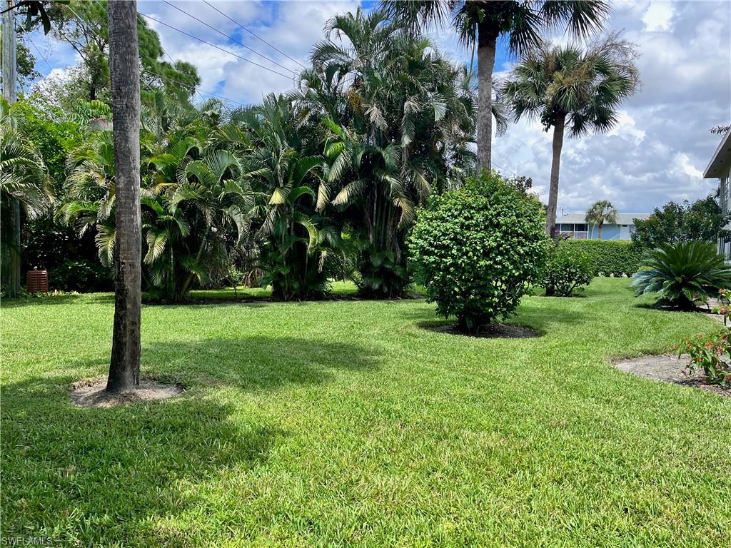 Landscaped backyard area