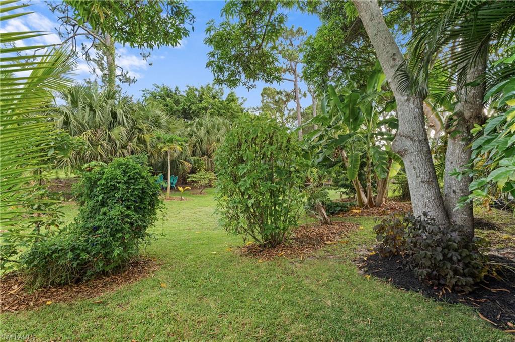Expansive grassy area surrounded by mature trees, lush greenery, and tropical foliage