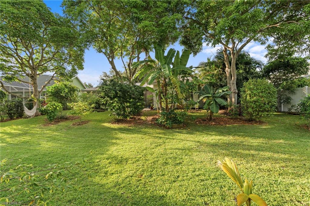 Expansive backyard featuring a manicured lawn, established trees, and diverse tropical foliage
