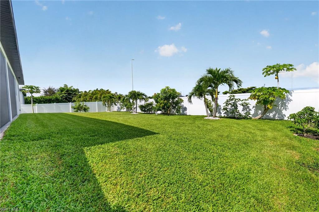 Yard