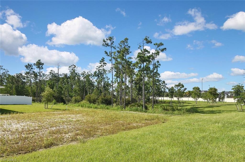 8107 Haley Creek WAY photo 30