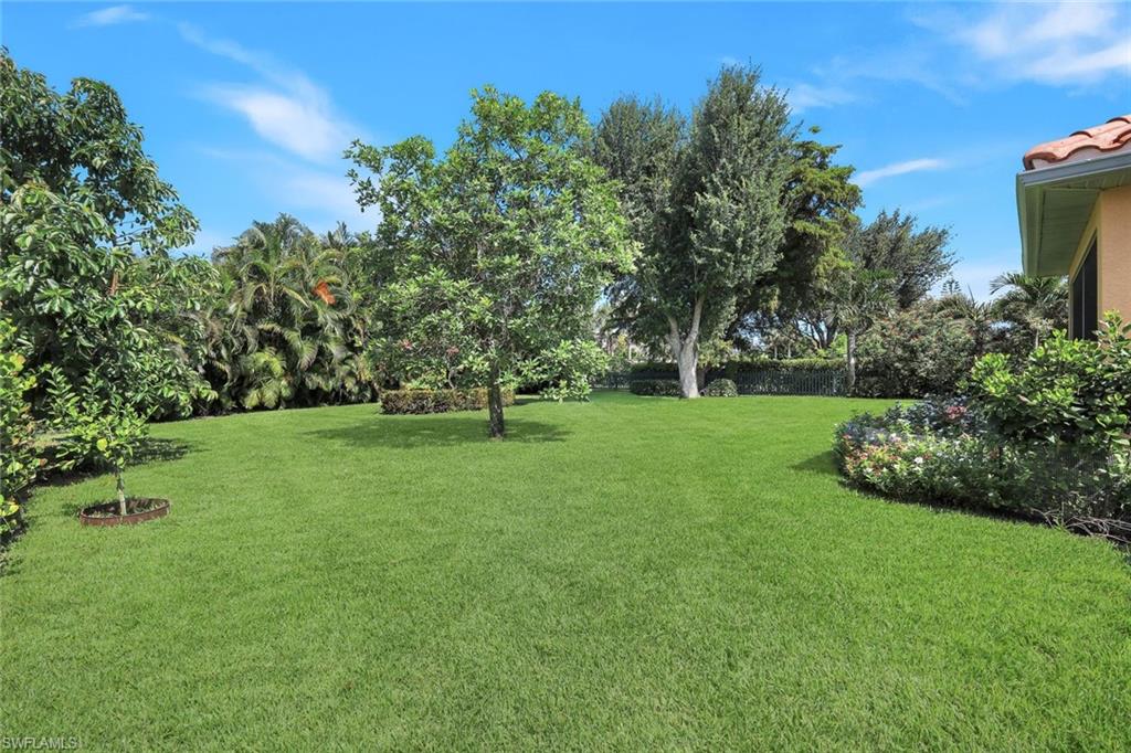 Expansive green lawn surrounded by mature trees, fruit trees and lush landscaping