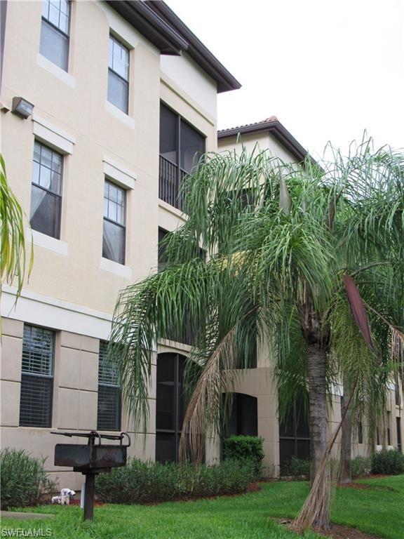12936 Violino LN 206