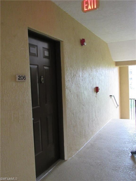 12936 Violino LN 206