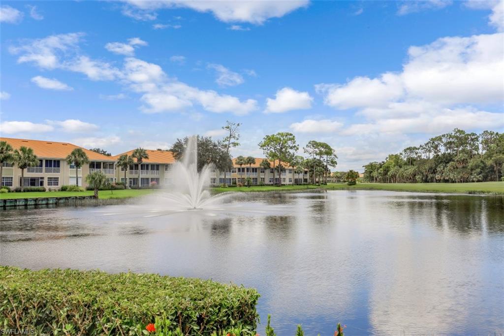 Pond Behind Condos