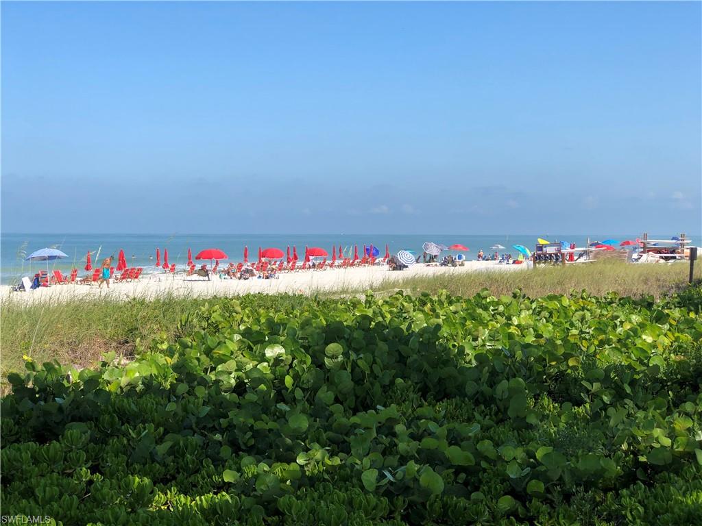 1400 Gulf Shore BLVD N 310 photo 32