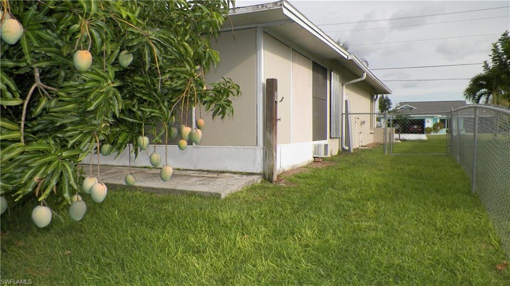 Lush green lawn featuring a mature mango tree with abundant fruit