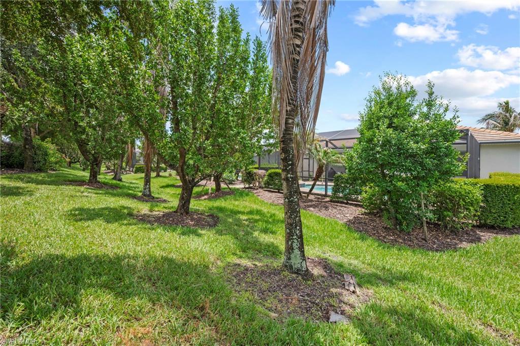 Grassed area featuring a row of deciduous trees and a palm tree