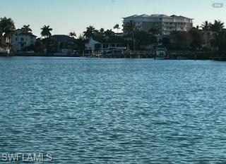 150 Tahiti CIR photo 9