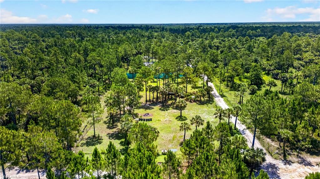 Expansive wooded parcel featuring mature trees, a cleared central area, and a visible pathway