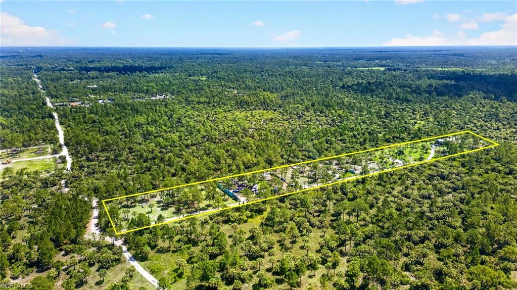 Expansive property featuring a cleared parcel with mature trees, surrounded by dense natural vegetation