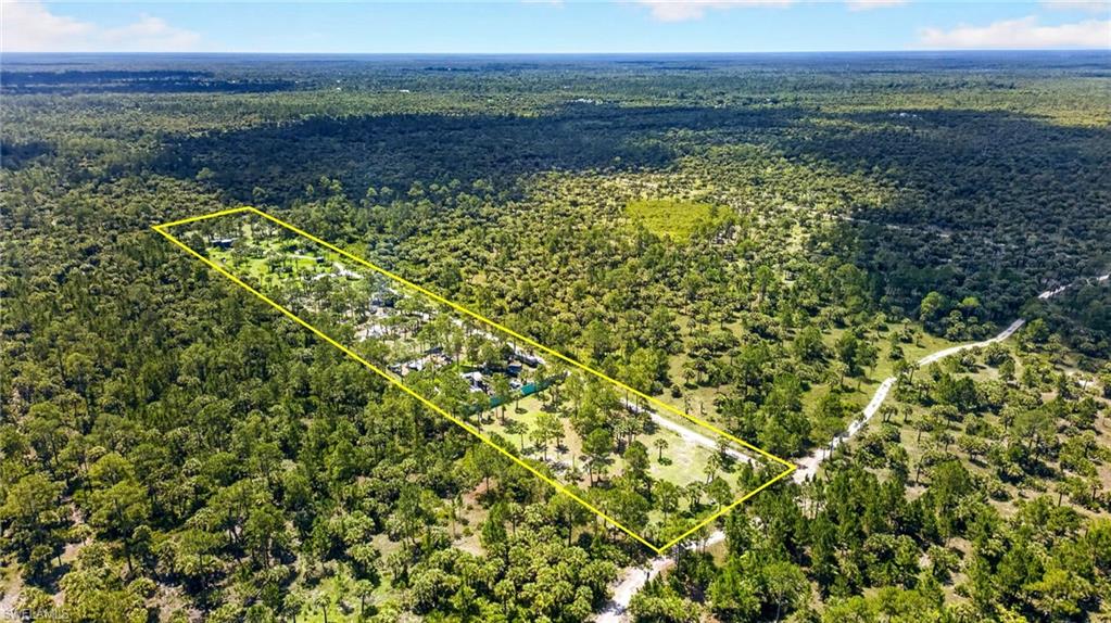 Expansive land parcel featuring dense natural vegetation and mature trees, with a defined boundary indicating property lines