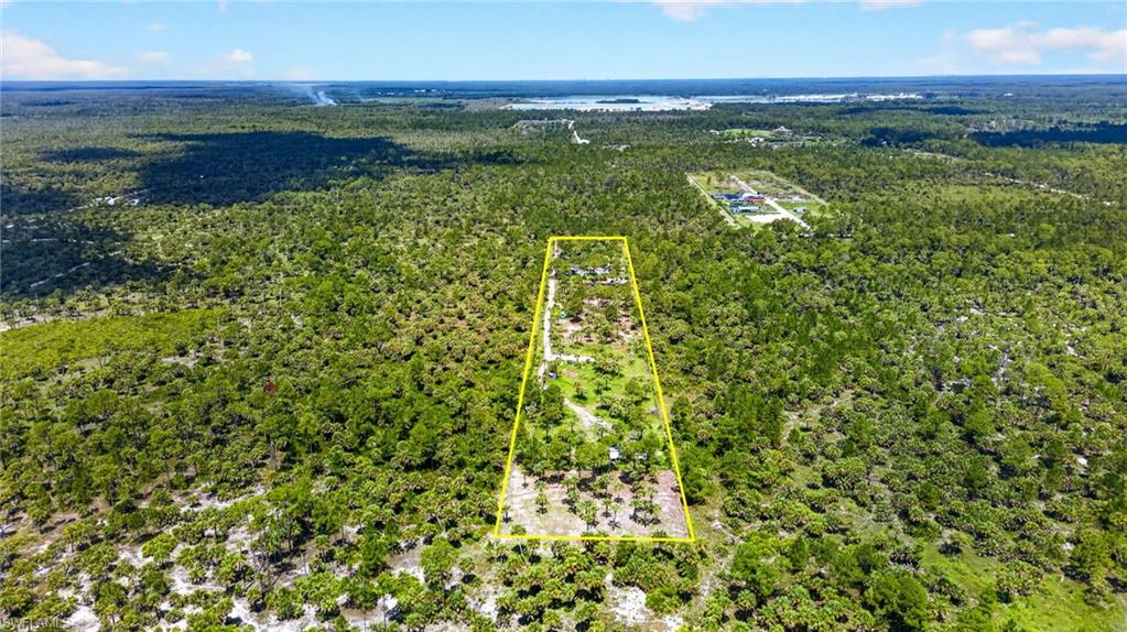 Expansive undeveloped land parcel outlined in yellow, featuring varied natural vegetation