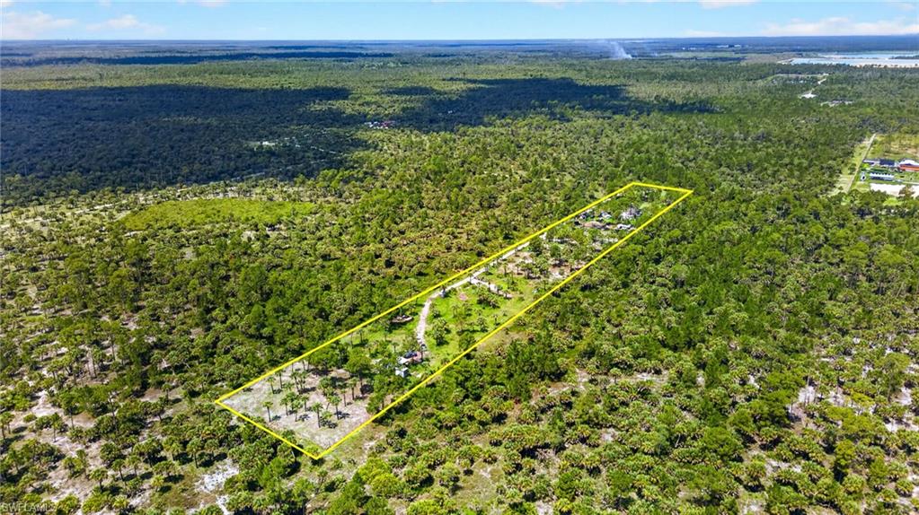 Expansive acreage featuring abundant mature trees and natural vegetation