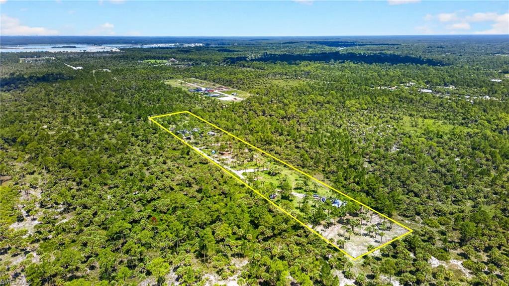 Expansive parcel featuring a perimeter highlighted by a yellow outline, surrounded by dense natural foliage