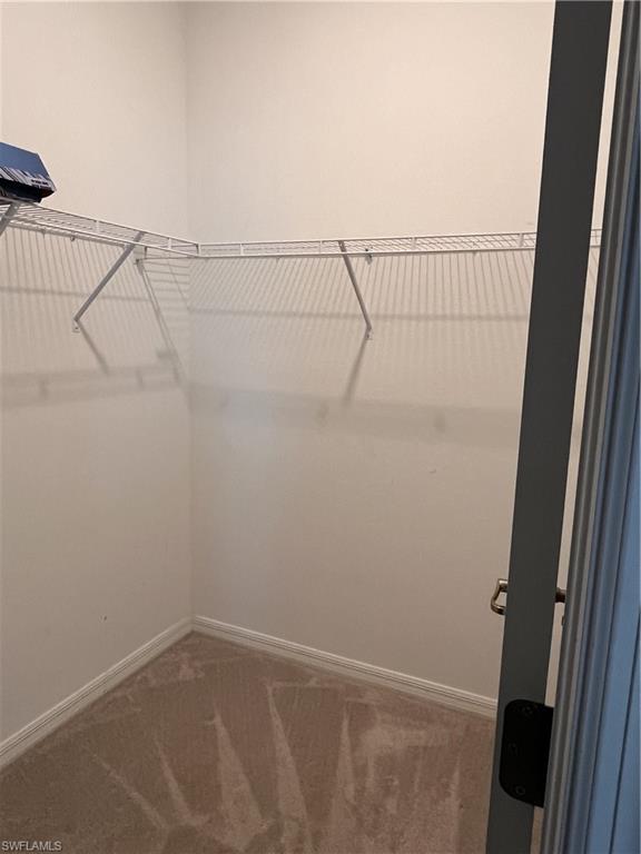 Corner closet with light-toned walls and carpet flooring