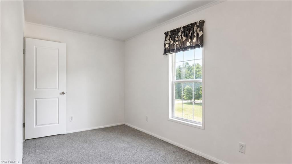 Bright interior space featuring a double-paned window, neutral wall paint, gray carpet flooring, and white trim