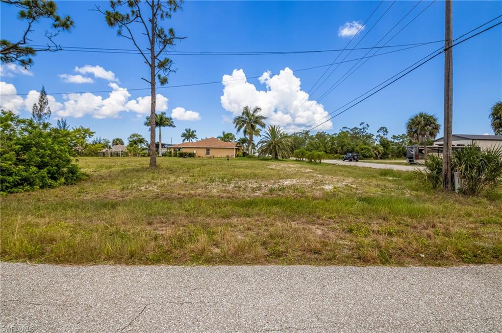 Expansive undeveloped lot with natural ground cover, mature palm trees, and scattered pines
