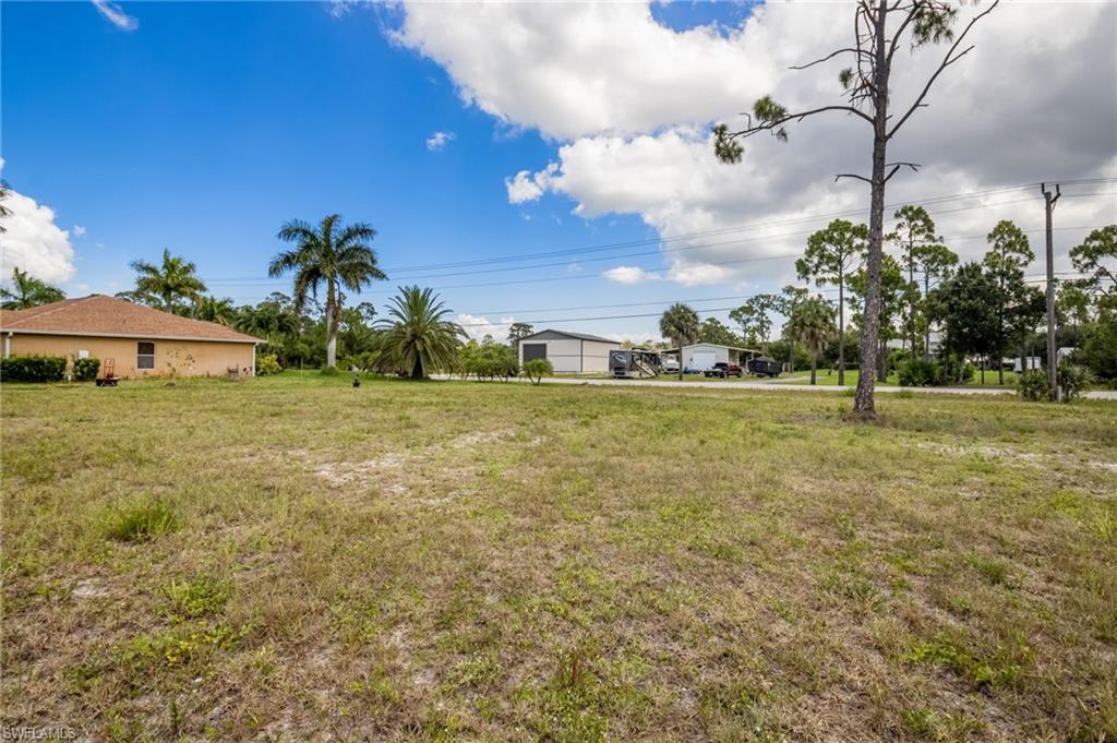 Expansive undeveloped land featuring mature palm trees and natural vegetation
