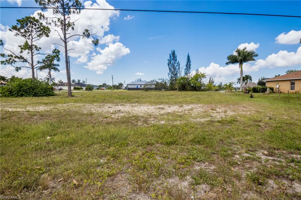 Expansive cleared lot with scattered mature trees and open sky