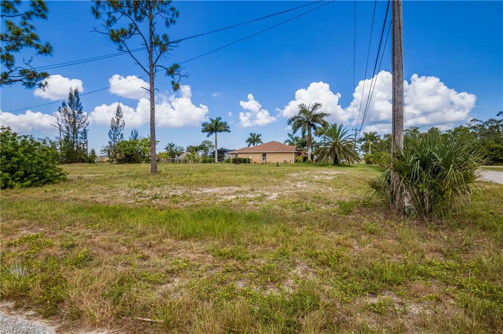 Expansive undeveloped lot featuring mature pine trees and various palm species