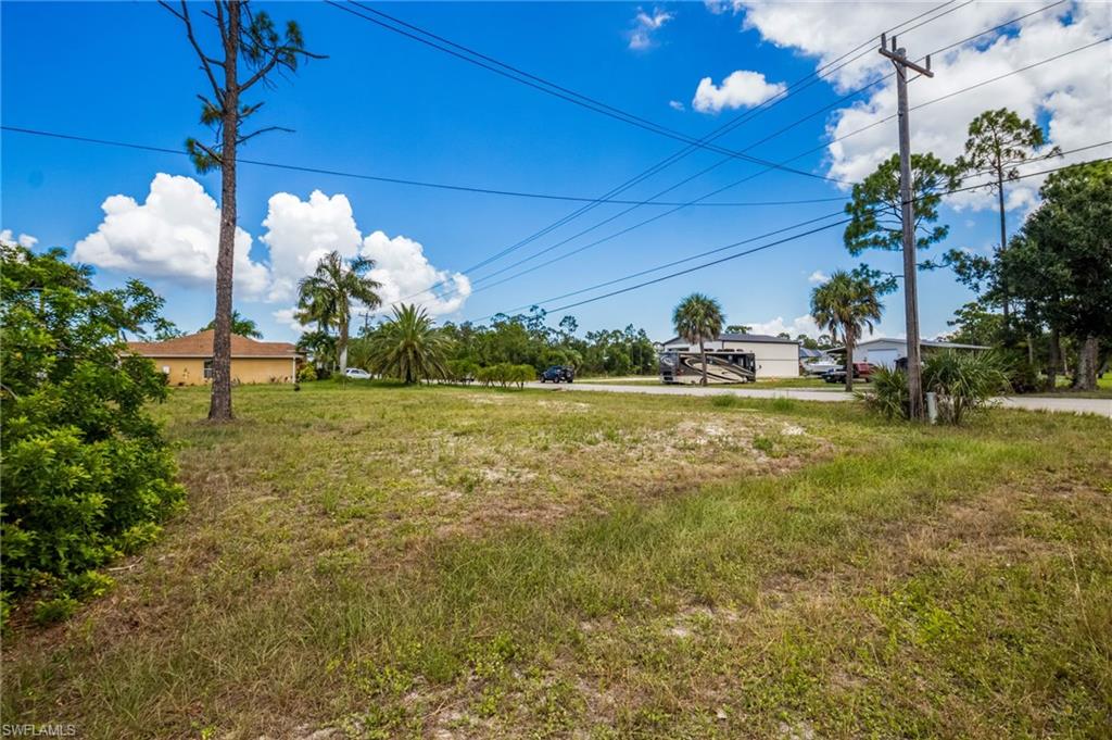 Expansive undeveloped lot featuring natural vegetation and scattered trees